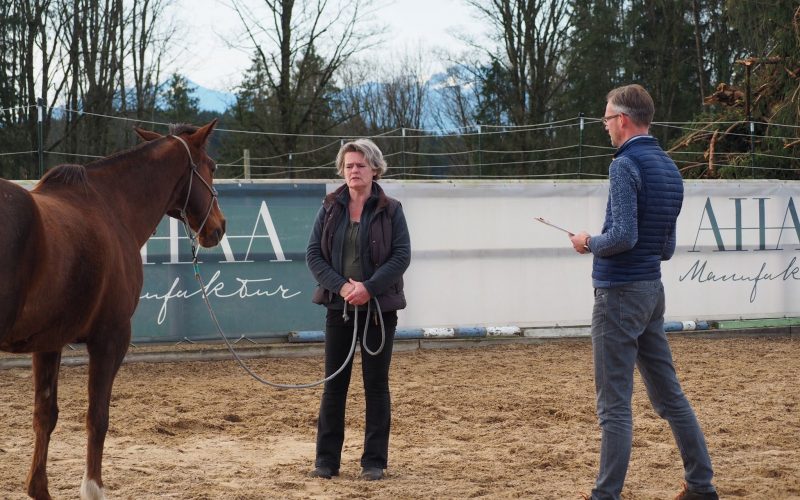 Falk Begemann - Mensch . Pferd . Coaching